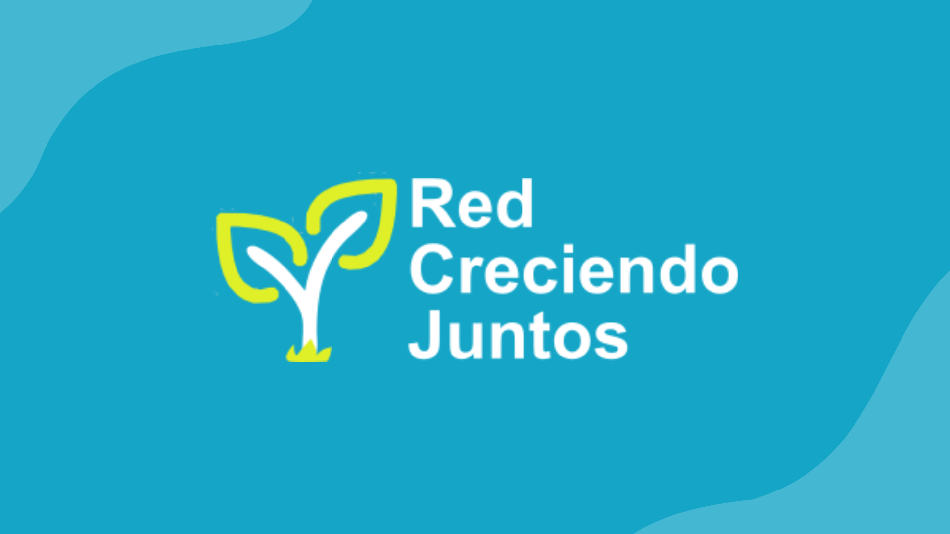 Portada Red Creciendo Juntos EQ Mentores - Horiz